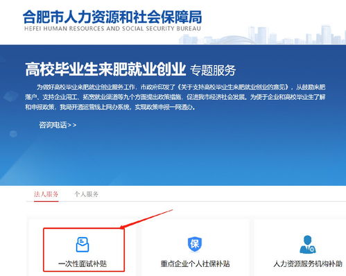 高校畢業(yè)生來合肥一次性面試補(bǔ)貼申請指南及職業(yè)中介活動解析